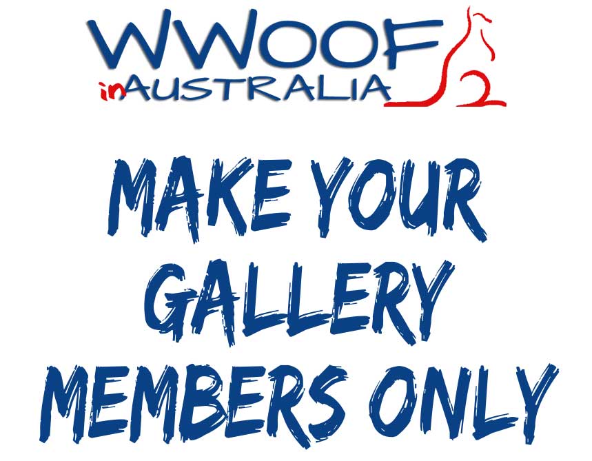 Gallery of Images