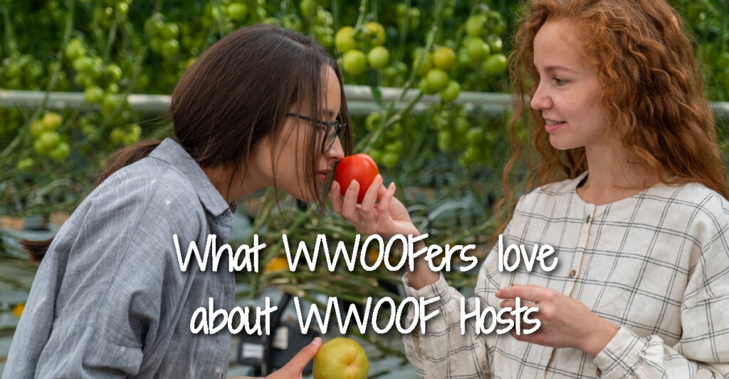 What WWOOFers love about WWOOF Hosts